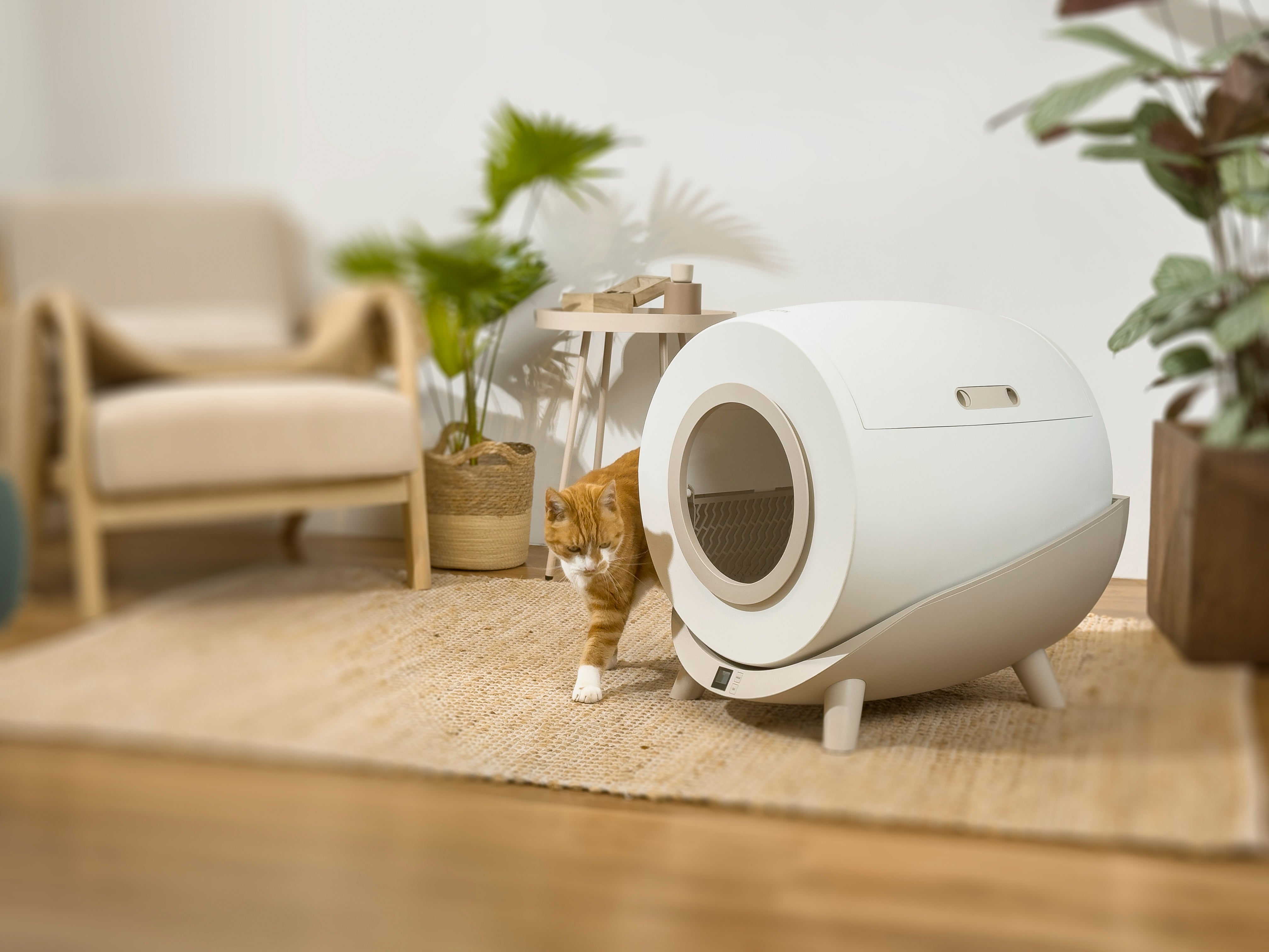 Catja zelfreinigende automatische kattenbak in modern wit design, ovaal met ronde ingang, geplaatst in een stijlvolle woonkamer met houten meubels, een kat loopt ernaast over een beige tapijt.